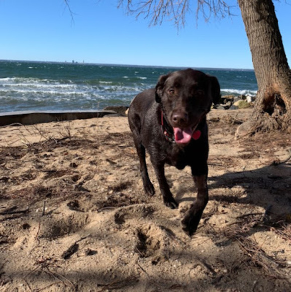 Meet your Posher, Mike - Picture 1 of 1